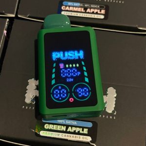 push 2g disposable with screen