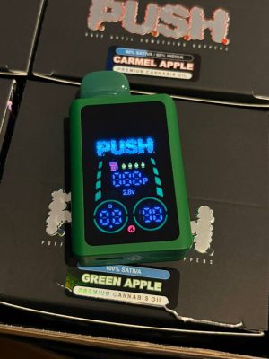 push 2g disposable with screen
