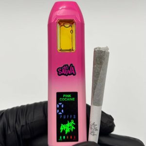 stoner stix world tour 2g disposable