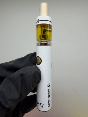dime industries 2g disposable