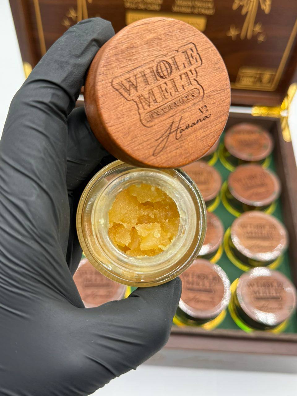 photo_2026-07-05_05-19-00 whole melt extracts havana edition
