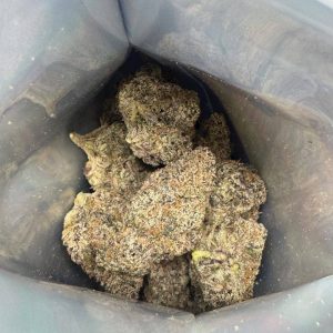 fizz premium cannabis flower
