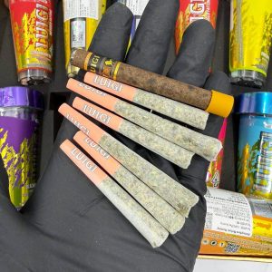 luigi fattone pre rolls