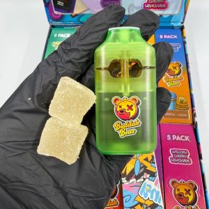 buddah bear 3 in 1 2g disposable