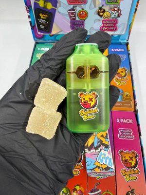 buddah bear 3 in 1 2g disposable