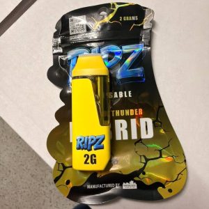 ripz 2g disposable