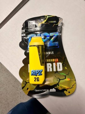 ripz 2g disposable