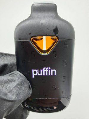 puffin 5 year anniversary 2g disposable